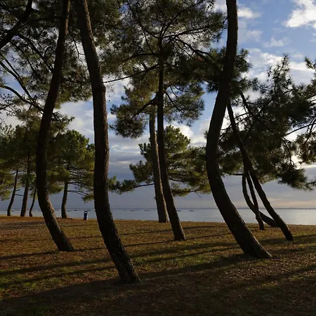500m Plage- Bassin D'arcachon- Maison Pour 6 *